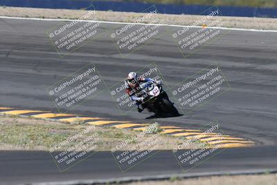 media/Apr-14-2024-SoCal Trackdays (Sun) [[70f97d3d4f]]/5-Bowl Exit (1020am)/